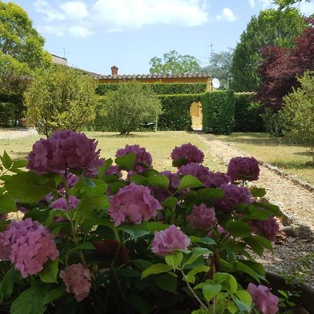 La Limonaia Villa Floransa Dış mekan fotoğraf