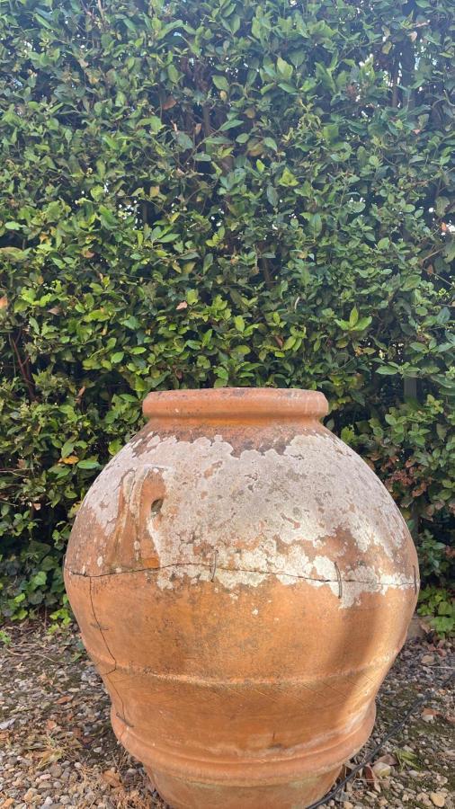 La Limonaia Villa Floransa Dış mekan fotoğraf
