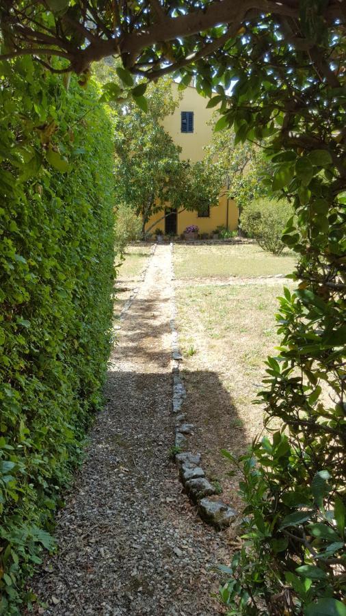 La Limonaia Villa Floransa Dış mekan fotoğraf